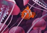 скриншот Disney's Finding Nemo [Playstation 2]