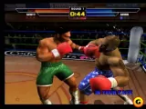 скриншот Mike Tyson: Heavyweight Boxing [Playstation 2]