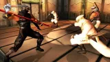 скриншот Ninja Gaiden Black (XBOX360E) [Xbox 360]