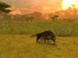 скриншот Cabela's African Safari [Xbox 360]